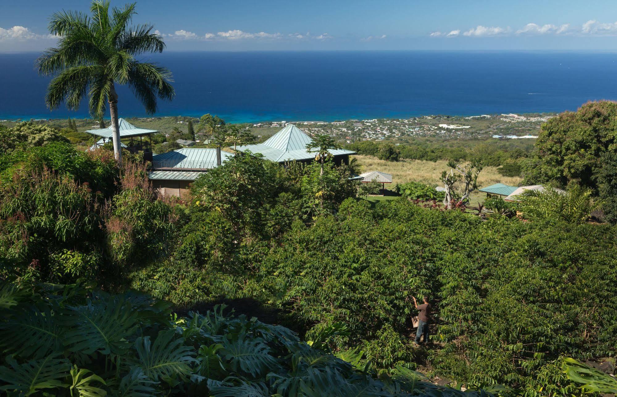 Holualoa Inn מראה חיצוני תמונה